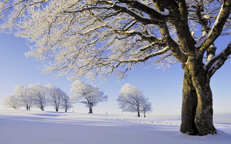 Winter Snow Landscape Black Forest Germany