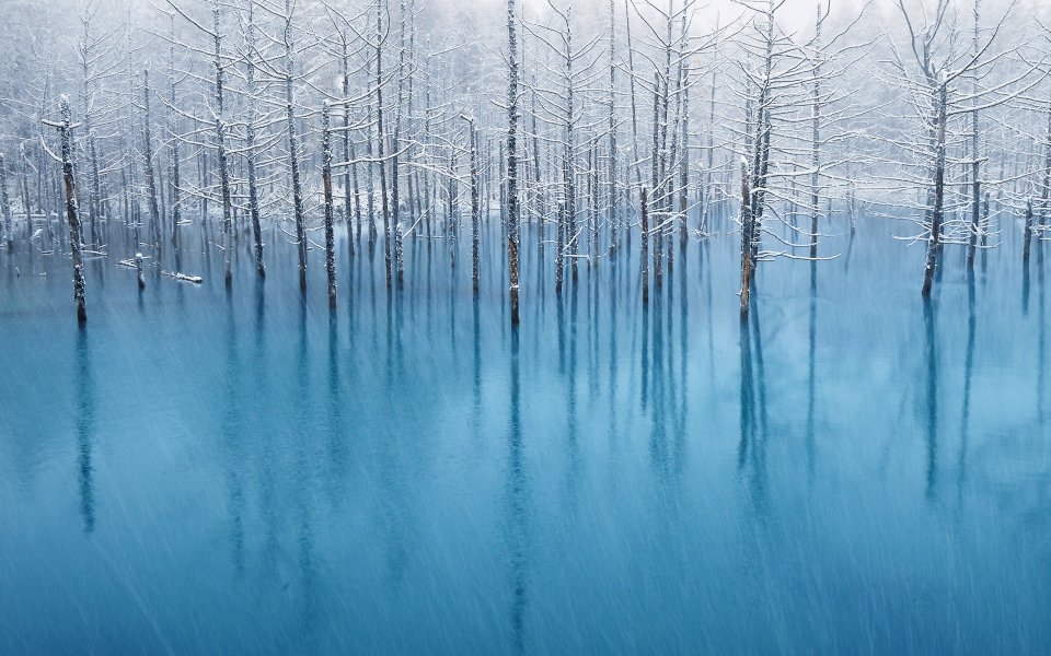 日本北海道美瑛青池冬日雪景
