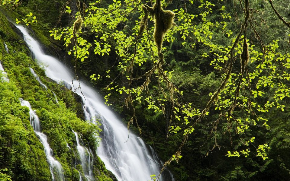 Earth's Natural Wonders: Scenery Wallpaper Collection Vol. 10