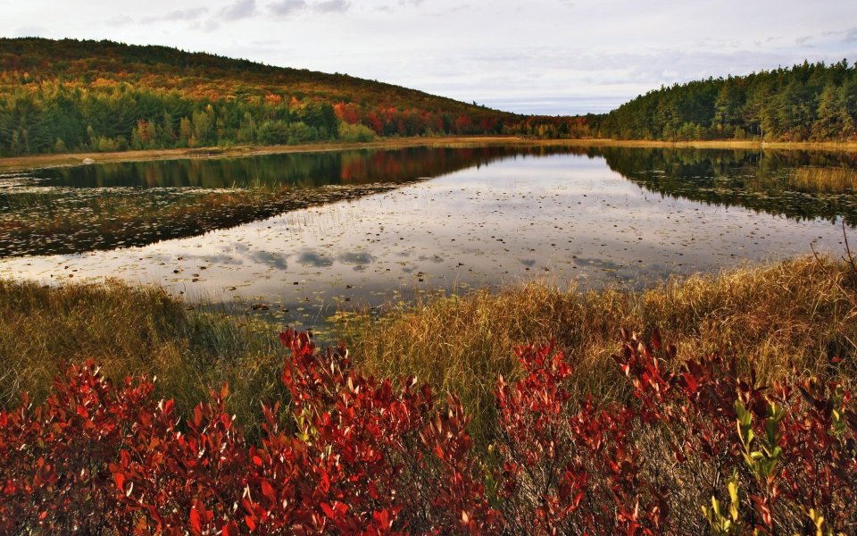 美国阿卡迪亚国家公园 Breakneck Pond 秋日湖景