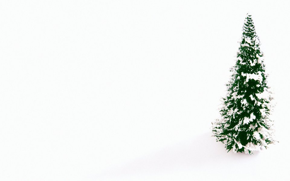 Snow Covered Christmas Tree On White Background