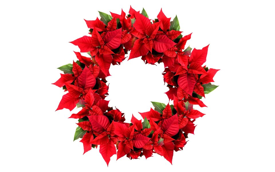 Red Poinsettia Christmas Wreath