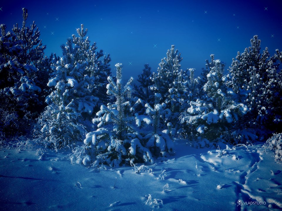 西伯利亚冬季雪景