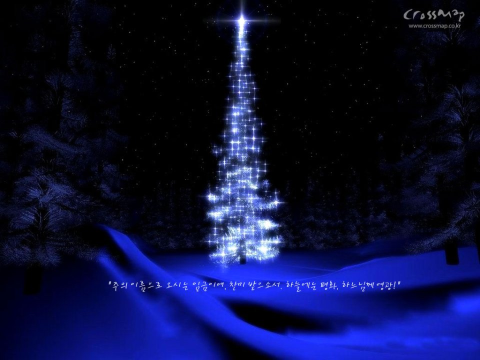 Glowing Christmas Tree Under Starry Sky