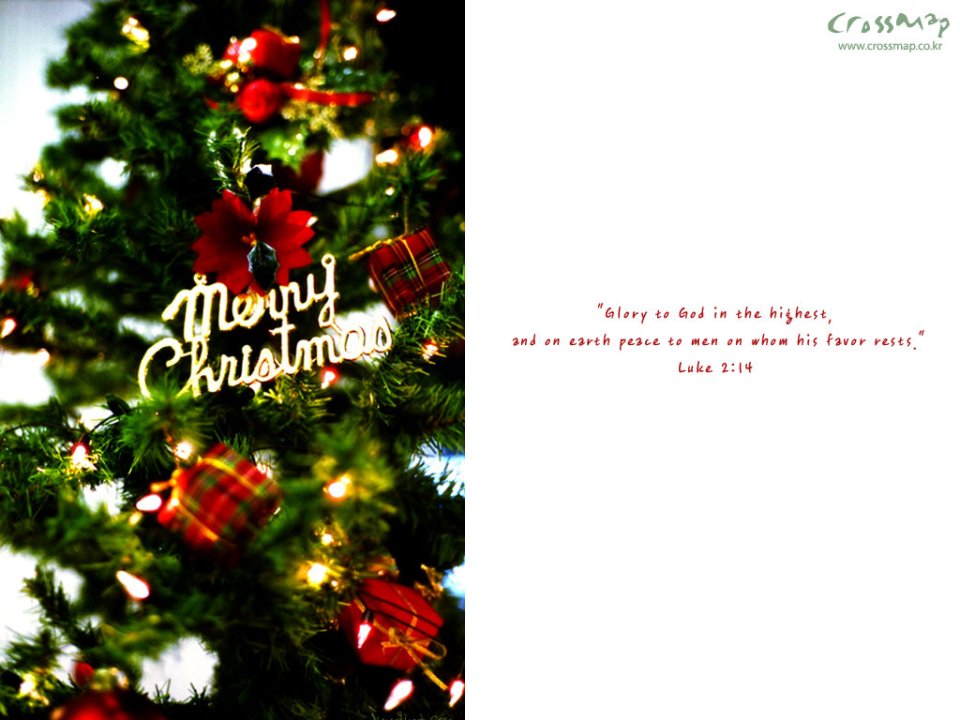 Christmas Tree And Bible Verse Wallpaper