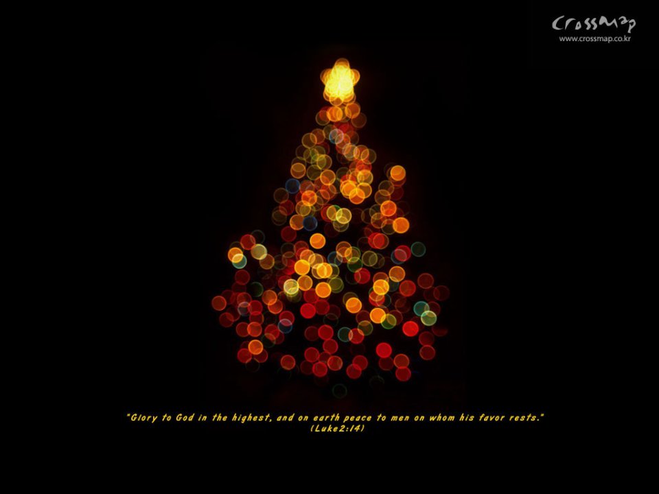 Christmas Tree Bokeh Lights And Bible Verse