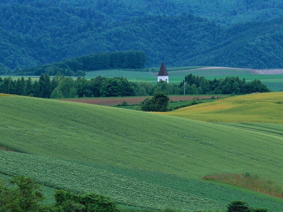 Hokkaido Biei Hill Rural Landscape With Spire Church