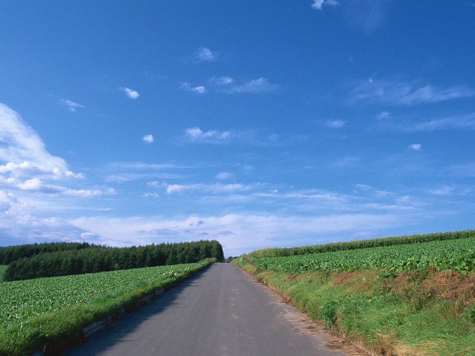 晴日蓝天下的乡村郊野公路田园风光