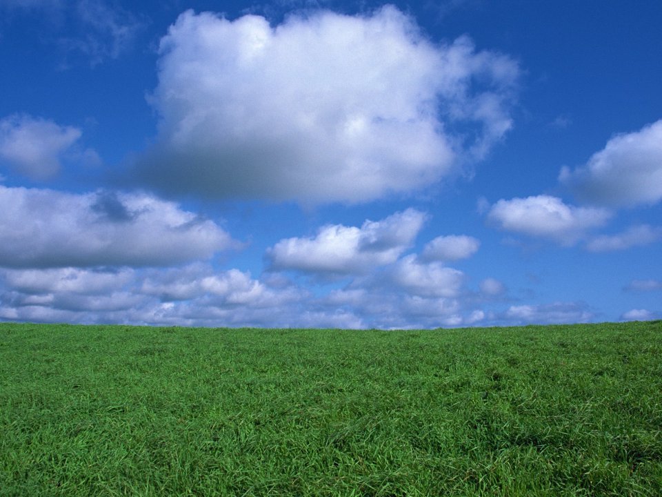 Rural Green Meadow Blue Sky White Clouds Natural Landscape