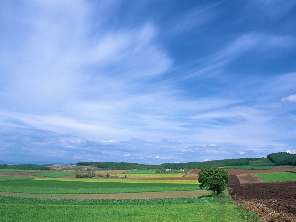 日本北海道乡村田园田野风光