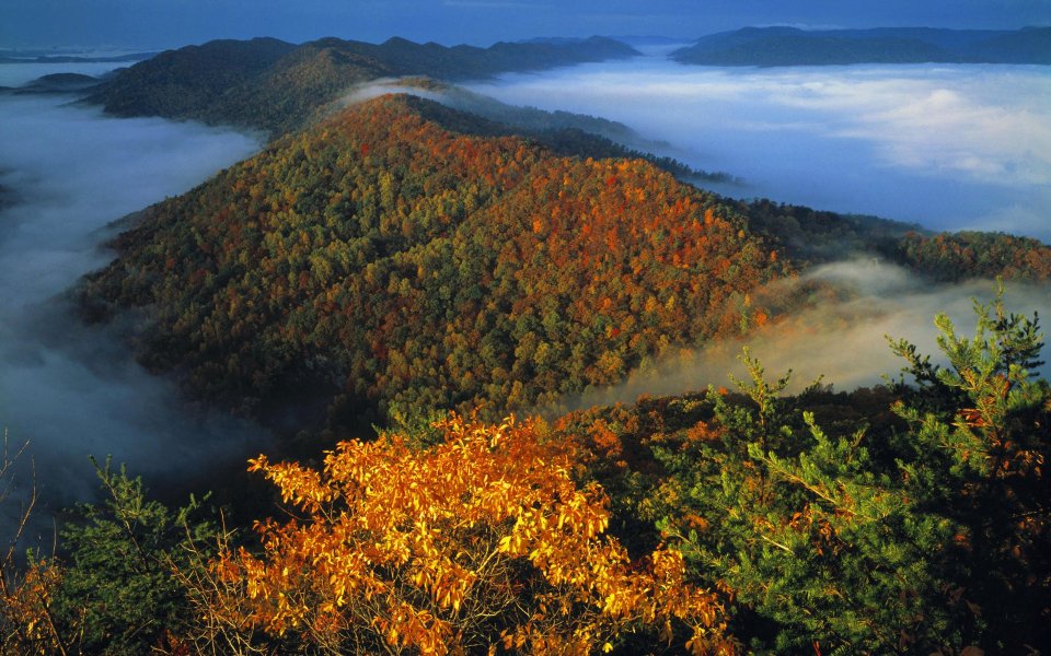 Cumberland Gap Autumn Foggy Mountains