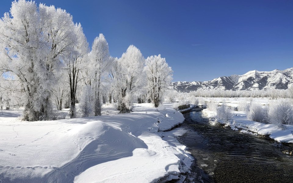 Grand Teton National Park Winter Snow Landscape