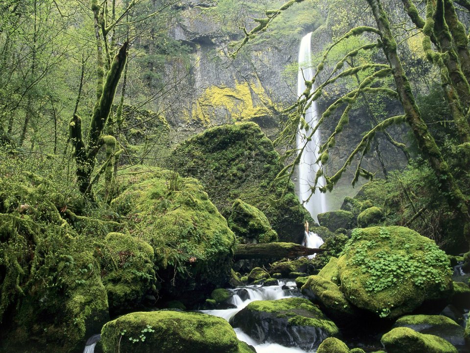 Elowah Falls Columbia River Gorge Oregon