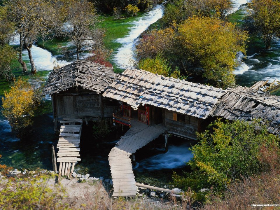 Fall Colors Forest Stream Old Wooden Cabin Landscape