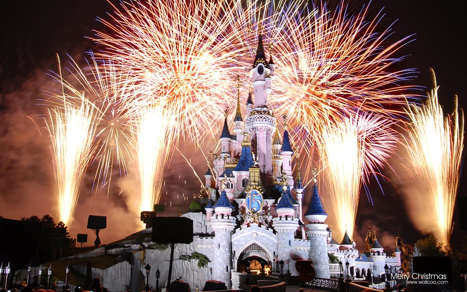 Paris Disneyland Castle Fireworks Night