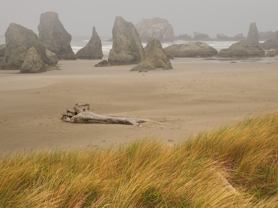 Foggy Day Bandon Oregon Coast Beach Scenery