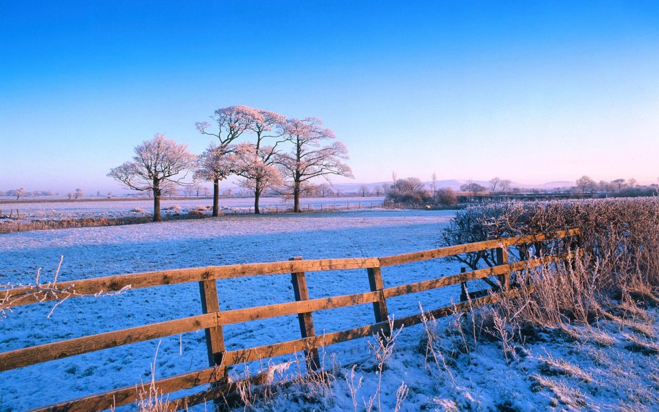 Frosty Countryside Winter Landscape