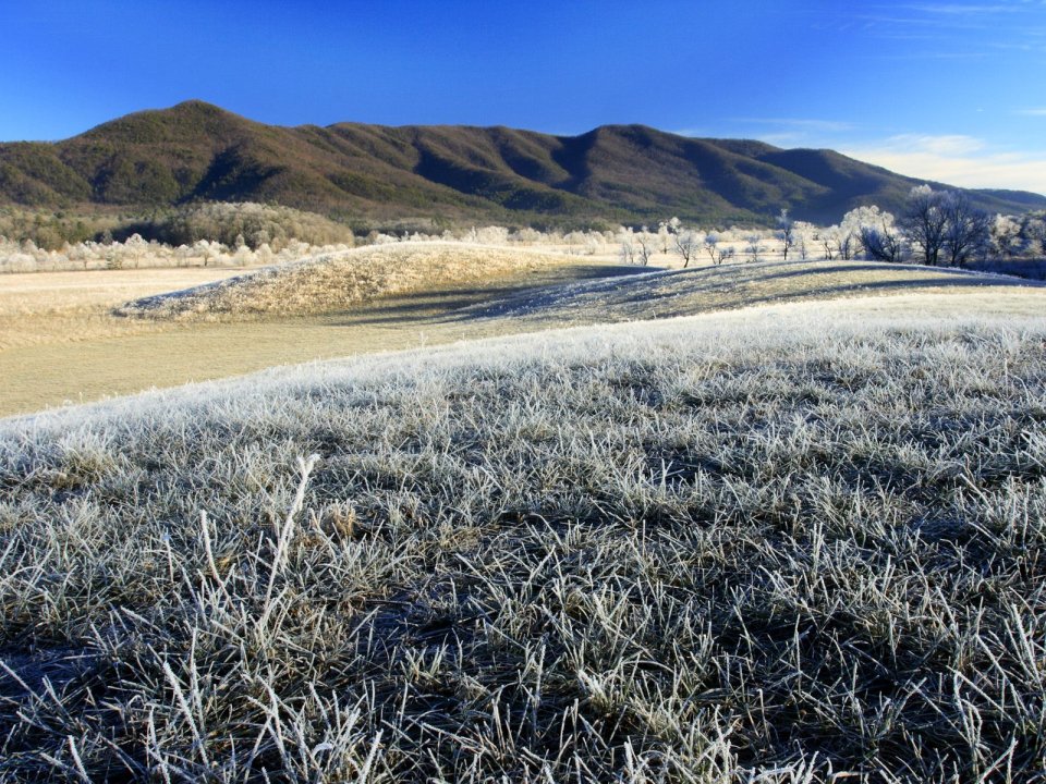 Frosty Morning Cades Cove Great Smoky Mountains Tennessee