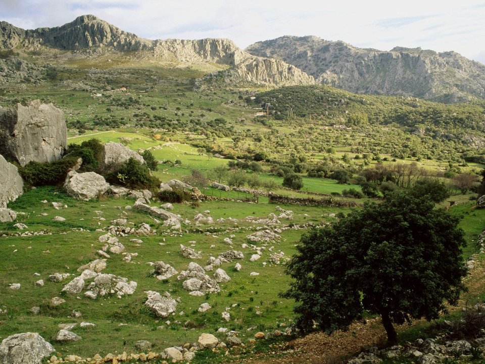 Grazalema Natural Park Cadiz Andalucia Spain Mountain Meadow Scenery