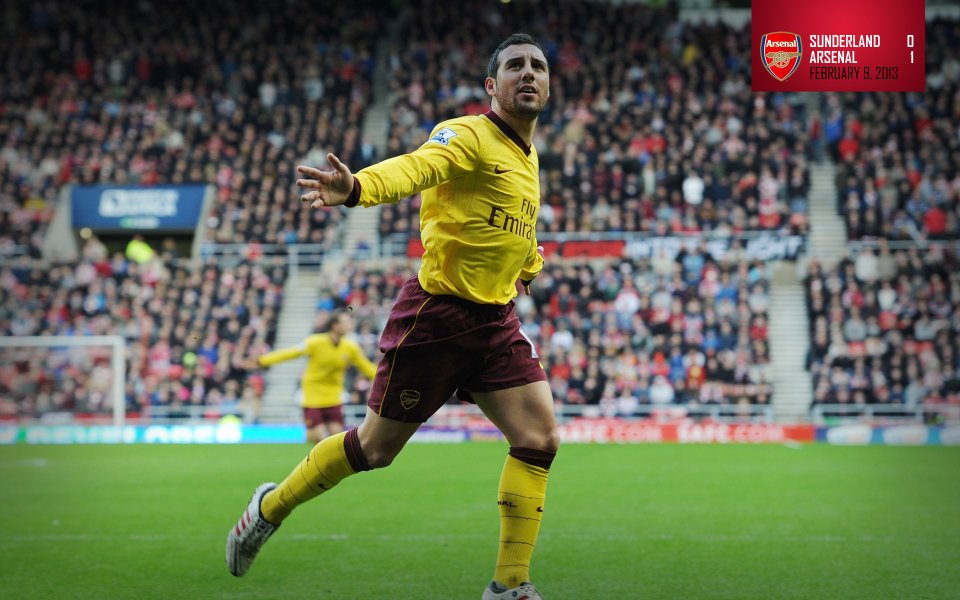 Arsenal Player Celebrating Goal At Sunderland Home (Premier League, February 9, 2013)