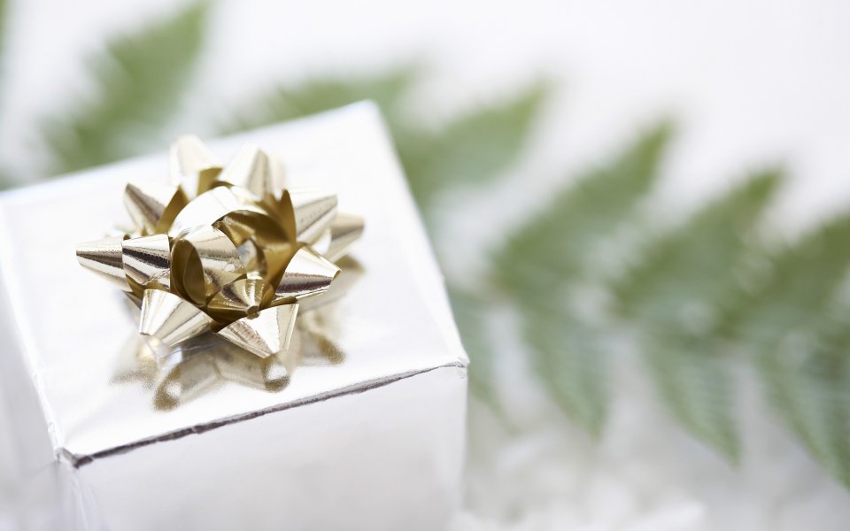 Silver Wrapped Gift Box With Gold Bow And Fern