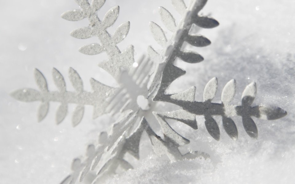 白色背景上的精致雪花剪纸特写