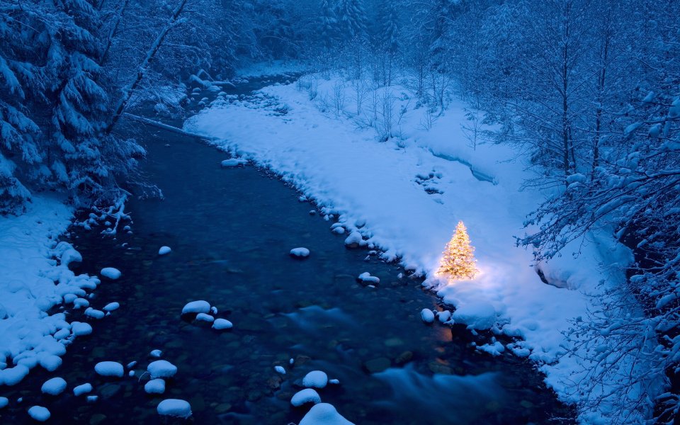 冬日河畔发光圣诞树唯美雪景