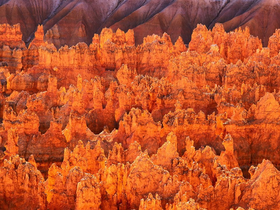 Hoodoos At Bryce Canyon National Park Utah