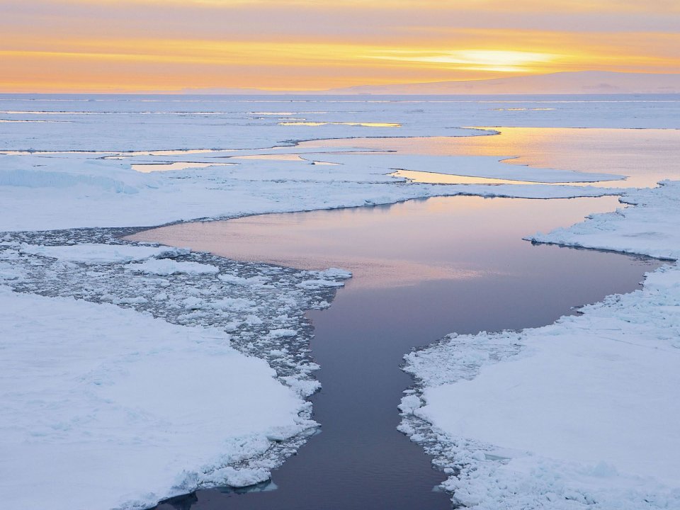 Icebergs At Dusk Antarctic Sound Antarctica