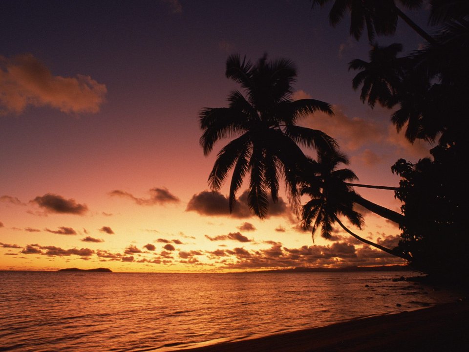 Fiji Tropical Island Sunset Palm Coastal Scenery