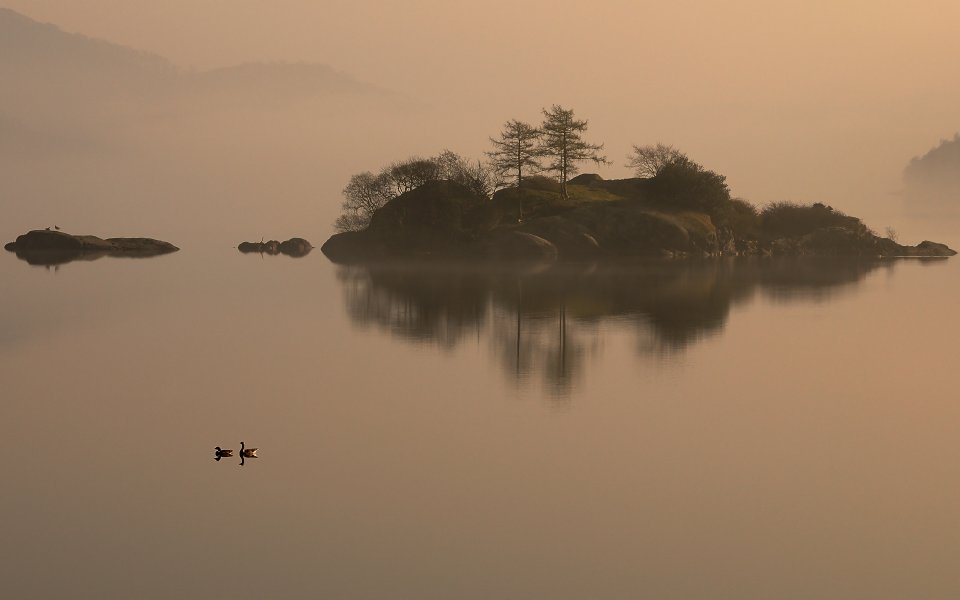 Morning Mist Lake Scene With Islet And Swimming Water Birds