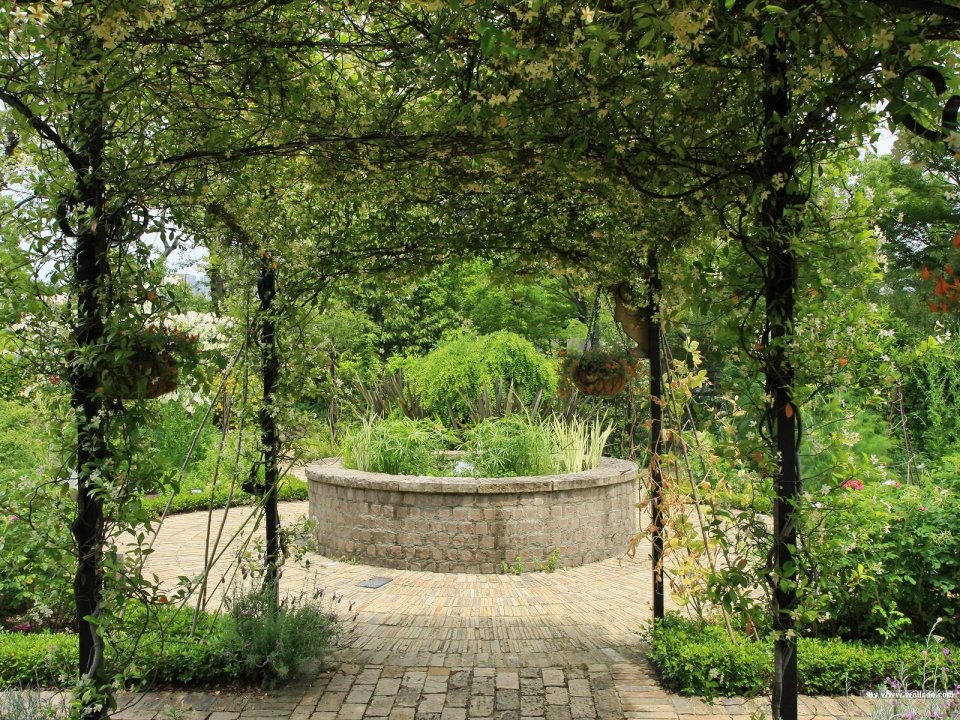 Japanese Garden Vine Pergola Stone Water Feature Landscape
