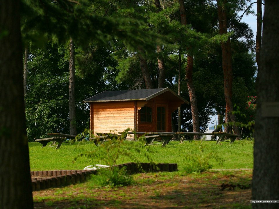 Japanese Country Park Wooden Cabin Summer Scenery