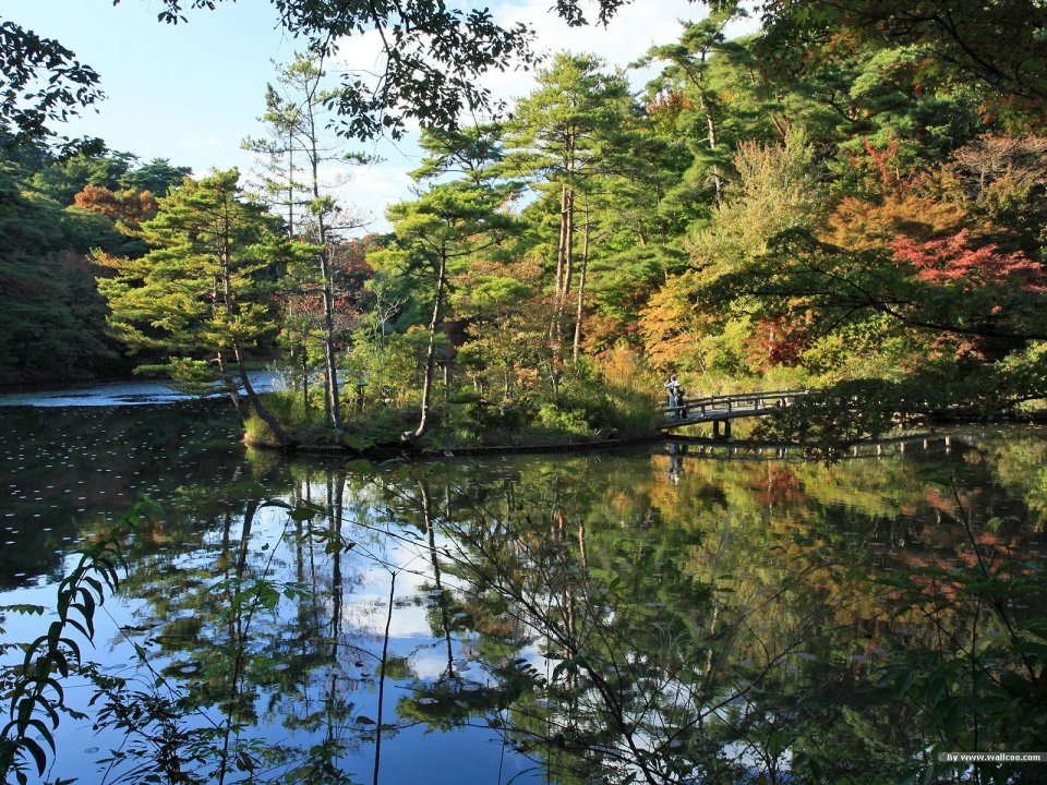 Japanese Traditional Garden Autumn Lake Scenery