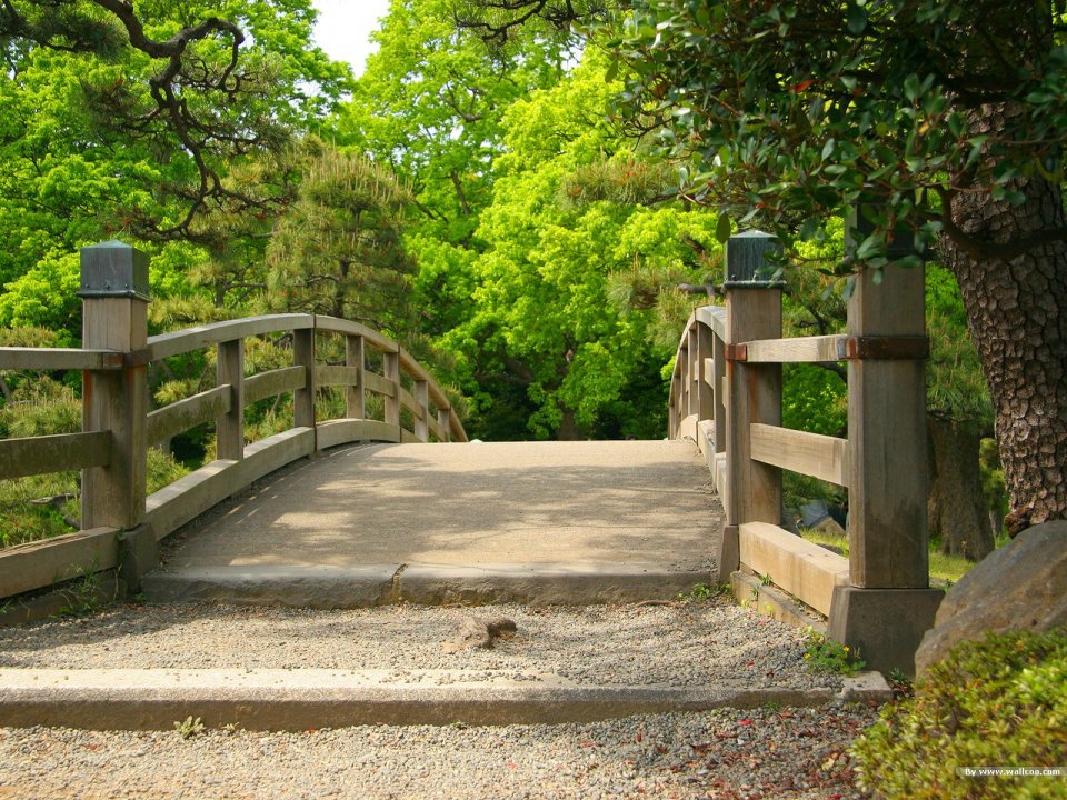 Japanese Traditional Garden Wooden Bridge Spring Green Scenery