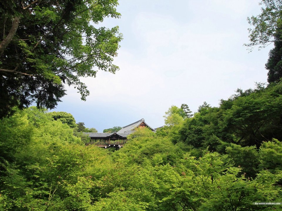 Japanese Garden Summer Greenery Traditional Ancient Building Scenery