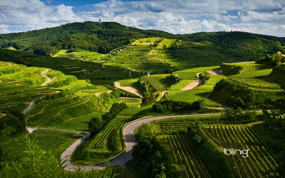 Germany Kaiserstuhl Vineyard Terraces Landscape