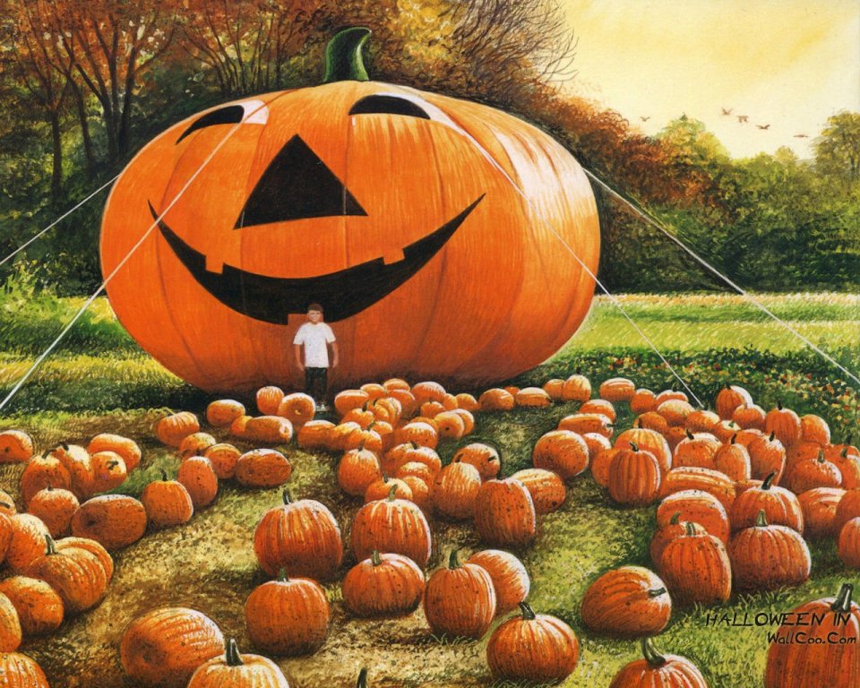 Wendell Minor Pumpkin Heads Giant Jack O Lantern