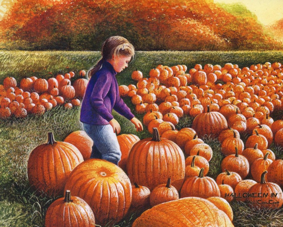 Girl In Pumpkin Field Autumn
