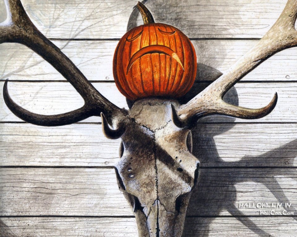 Halloween Deer Skull Pumpkin Head Decor
