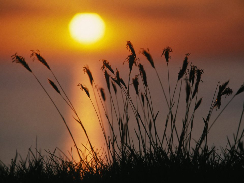 密歇根湖畔的金色夕阳剪影