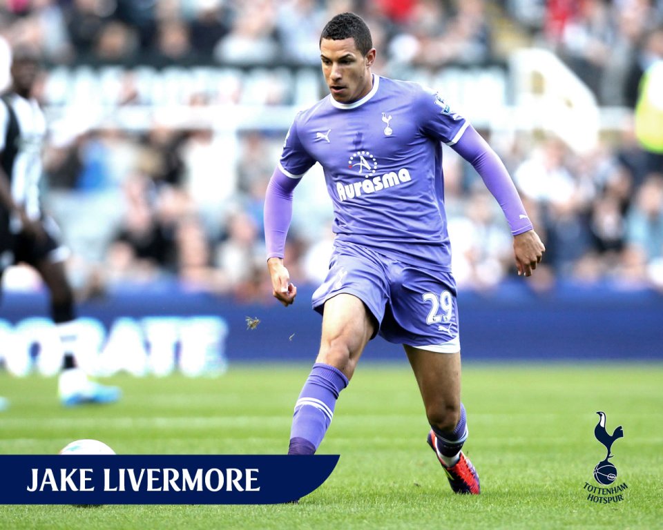 Jake Livermore Tottenham Hotspur Premier League Match Photo