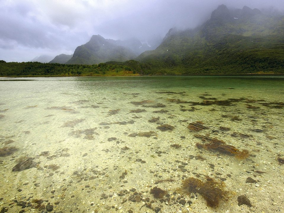 Clear Lake And Misty Mountains In Lofoten Norway
