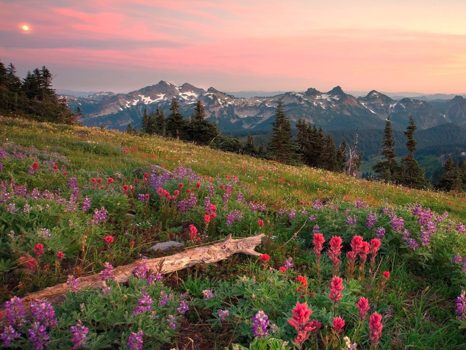 Tatoosh Range Mount Rainier Sunset