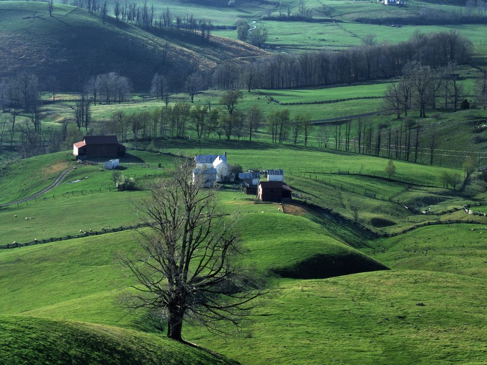 March Rural Scene Near Staunton Virginia