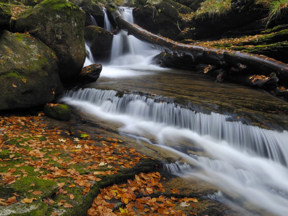 Autumn Rushing Lobnica River Pohorje Slovenia Scenery