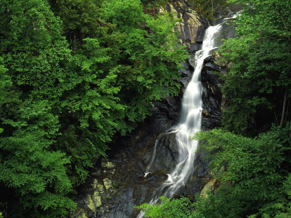 White Oak Falls Shenandoah National Park Virginia