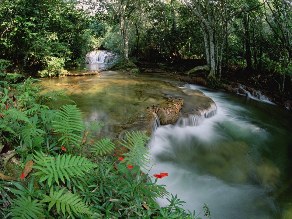 Brazil Mato Grosso Serra De Bodoquena Rainforest Waterfall