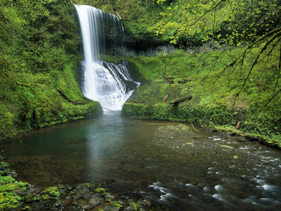 Middle Falls Silver Creek Falls Oregon Forest Waterfall