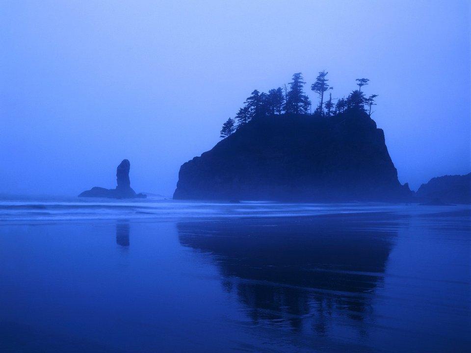 Misty Coastline Sea Stacks Blue Hour Nature Scenery